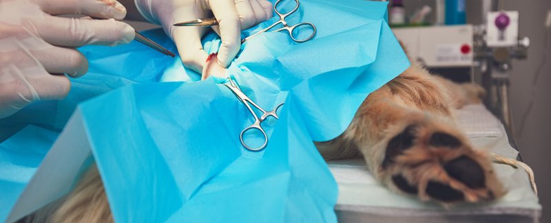 General Surgery - Soft Tissue Repair